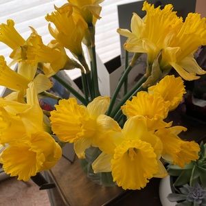 Meet your Posher, Susan